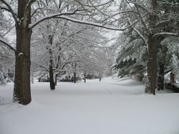 Easton, February 3 Snowfall 005